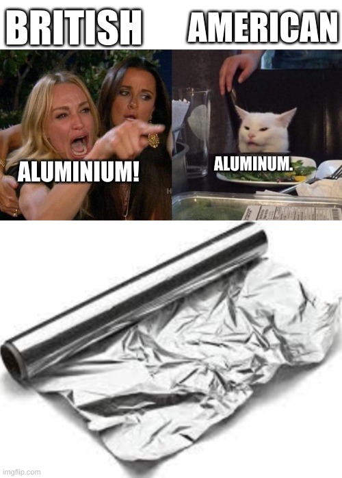 There are 2 types of people: | BRITISH; AMERICAN; ALUMINUM. ALUMINIUM! | image tagged in memes,woman yelling at cat,british vs american | made w/ Imgflip meme maker