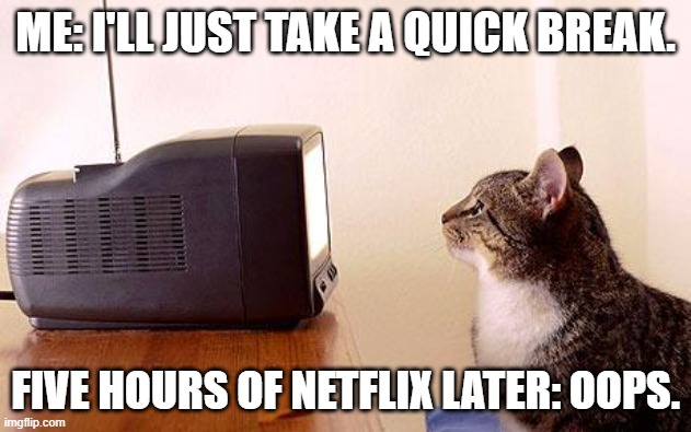 Procrastination | ME: I'LL JUST TAKE A QUICK BREAK. FIVE HOURS OF NETFLIX LATER: OOPS. | image tagged in cat watching tv | made w/ Imgflip meme maker