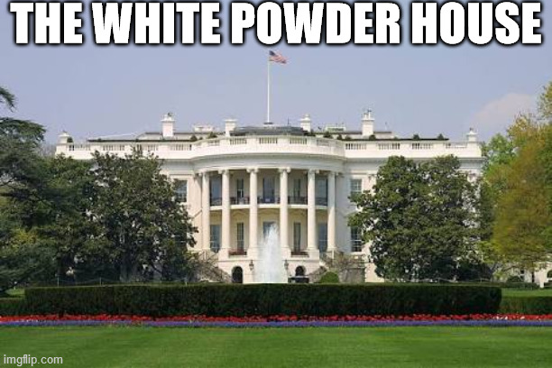 WhiteHouseBASK | THE WHITE POWDER HOUSE | image tagged in whitehousebask | made w/ Imgflip meme maker