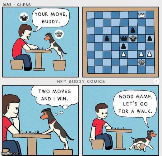Chess checkmate | image tagged in chess,checkmate,dogs,dog,comics,comics/cartoons | made w/ Imgflip meme maker