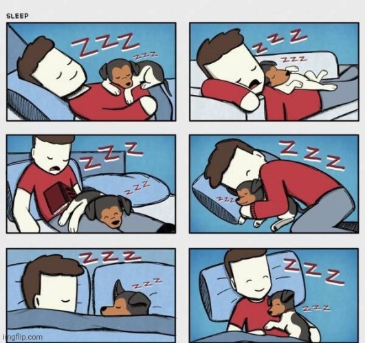 Sleeping together | image tagged in sleep,dog,dogs,comics,comics/cartoons,wholesome | made w/ Imgflip meme maker