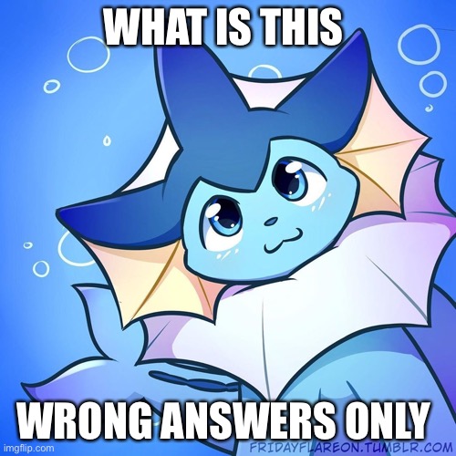 vaporeon | WHAT IS THIS; WRONG ANSWERS ONLY | image tagged in vaporeon | made w/ Imgflip meme maker