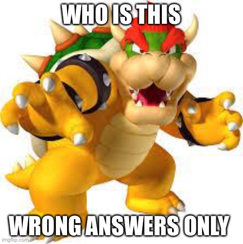 Bowser | WHO IS THIS; WRONG ANSWERS ONLY | image tagged in bowser | made w/ Imgflip meme maker