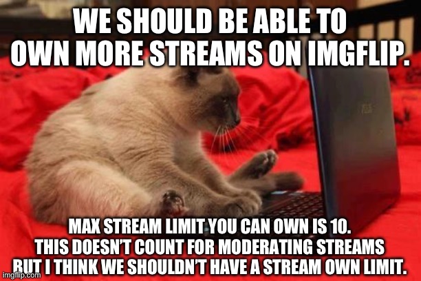 What do you all say? | WE SHOULD BE ABLE TO OWN MORE STREAMS ON IMGFLIP. MAX STREAM LIMIT YOU CAN OWN IS 10. THIS DOESN’T COUNT FOR MODERATING STREAMS BUT I THINK WE SHOULDN’T HAVE A STREAM OWN LIMIT. | image tagged in stream ownership,stream limit,suggestion,imgflip,why are you reading the tags | made w/ Imgflip meme maker