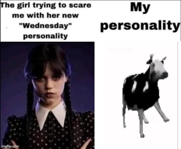 The girl trying to scare me with her new wednesday personality | image tagged in the girl trying to scare me with her new wednesday personality | made w/ Imgflip meme maker