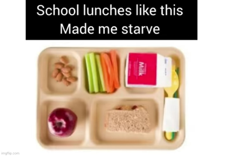 Don't tell me you don't relate to this... DON'T (#2,624) | image tagged in memes,repost,school,relatable,lunch,starvation | made w/ Imgflip meme maker