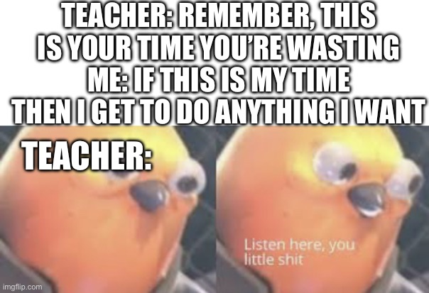 True | TEACHER: REMEMBER, THIS IS YOUR TIME YOU’RE WASTING
ME: IF THIS IS MY TIME THEN I GET TO DO ANYTHING I WANT; TEACHER: | image tagged in listen here you little shit bird | made w/ Imgflip meme maker