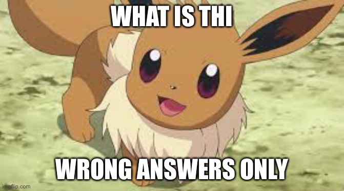 Eevee | WHAT IS THI; WRONG ANSWERS ONLY | image tagged in eevee | made w/ Imgflip meme maker