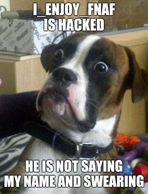 Sorry it is lost | I_ENJOY_FNAF IS HACKED; HE IS NOT SAYING MY NAME AND SWEARING | image tagged in blankie the shocked dog | made w/ Imgflip meme maker