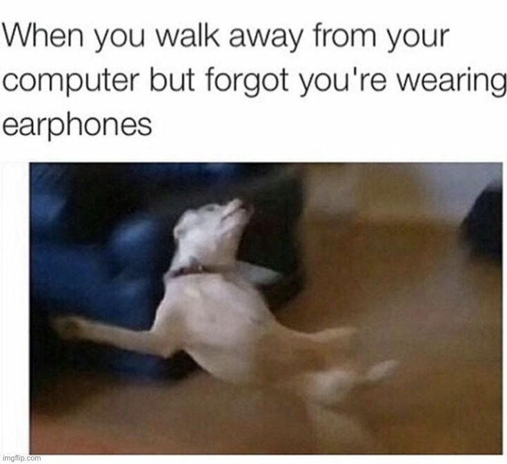 image tagged in memes,funny | made w/ Imgflip meme maker