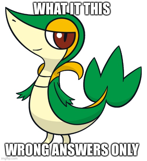 Snivy | WHAT IT THIS; WRONG ANSWERS ONLY | image tagged in snivy | made w/ Imgflip meme maker