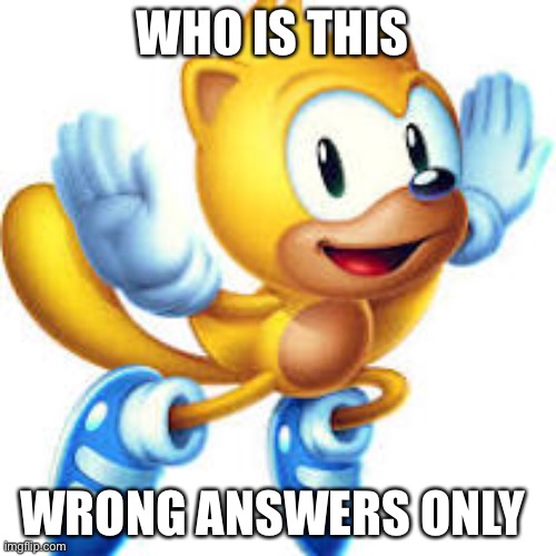 WHO IS THIS; WRONG ANSWERS ONLY | image tagged in sonic | made w/ Imgflip meme maker
