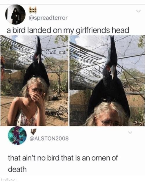 I died after seeing this lol | image tagged in memes | made w/ Imgflip meme maker