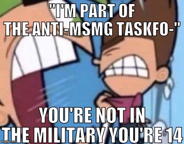 this shit is stupid | "I'M PART OF THE ANTI-MSMG TASKFO-"; YOU'RE NOT IN THE MILITARY YOU'RE 14 | made w/ Imgflip meme maker