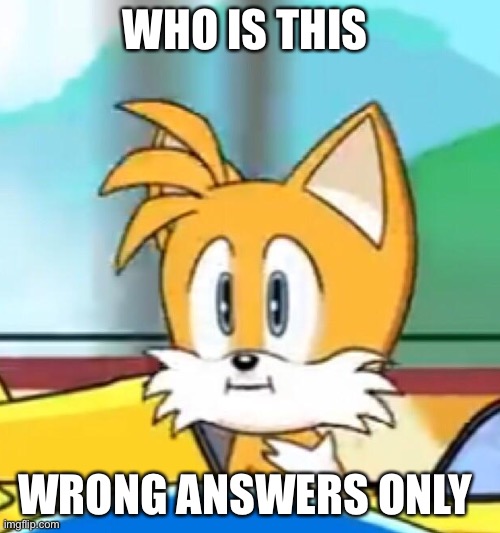 Tails hold up | WHO IS THIS; WRONG ANSWERS ONLY | image tagged in tails hold up | made w/ Imgflip meme maker