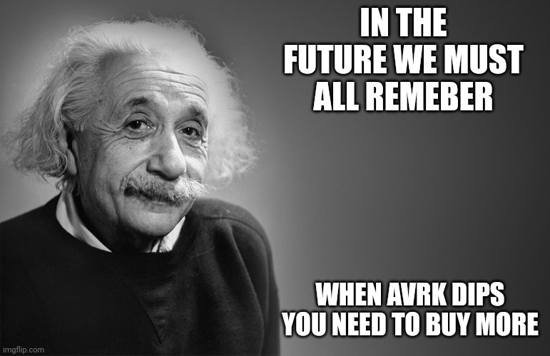 albert einstein quotes | IN THE FUTURE WE MUST ALL REMEBER; WHEN AVRK DIPS YOU NEED TO BUY MORE | image tagged in albert einstein quotes | made w/ Imgflip meme maker