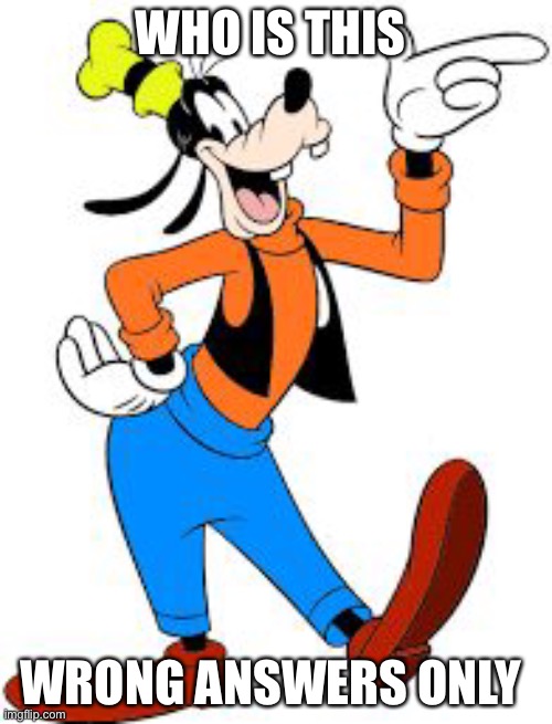 goofy | WHO IS THIS; WRONG ANSWERS ONLY | image tagged in goofy | made w/ Imgflip meme maker