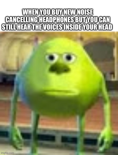 Sully Wazowski | WHEN YOU BUY NEW NOISE CANCELLING HEADPHONES BUT YOU CAN STILL HEAR THE VOICES INSIDE YOUR HEAD | image tagged in sully wazowski | made w/ Imgflip meme maker