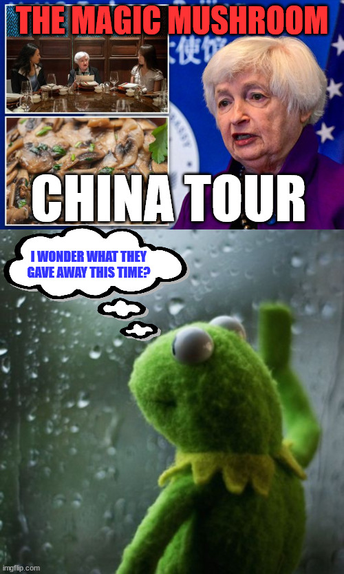 Selling  America... one piece at a time... | THE MAGIC MUSHROOM; CHINA TOUR; I WONDER WHAT THEY GAVE AWAY THIS TIME? | image tagged in sometimes i wonder,biden,admin,traitors | made w/ Imgflip meme maker