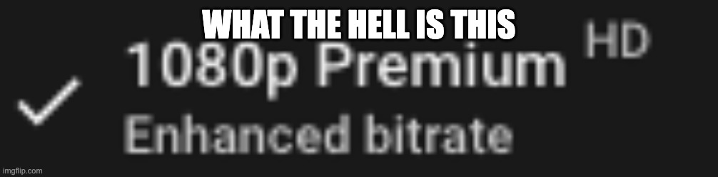 1080p PREMIUM? WE HAVE TO PAY FOR 1080p NOW> | WHAT THE HELL IS THIS | image tagged in youtube,memes,youtubememes,gtriplets | made w/ Imgflip meme maker