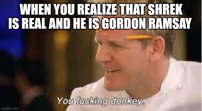 Shrek chef???? | WHEN YOU REALIZE THAT SHREK IS REAL AND HE IS GORDON RAMSAY | image tagged in you f donkey - gordon ramsay | made w/ Imgflip meme maker