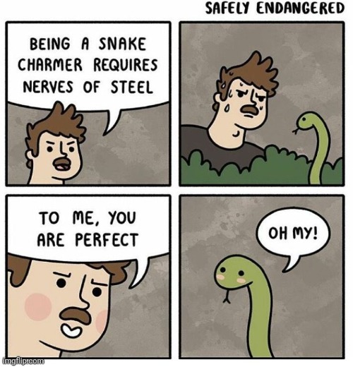 Being a snake charmer | image tagged in snake,charmer,charm,snakes,comics,comics/cartoons | made w/ Imgflip meme maker