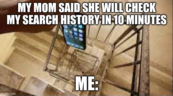 #Funny memes for life | MY MOM SAID SHE WILL CHECK MY SEARCH HISTORY IN 10 MINUTES; ME: | image tagged in dropping phone down stairs | made w/ Imgflip meme maker