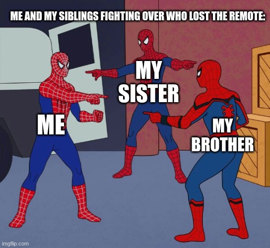 5 seconds after I put it down: | ME AND MY SIBLINGS FIGHTING OVER WHO LOST THE REMOTE:; MY SISTER; ME; MY BROTHER | image tagged in spider man triple | made w/ Imgflip meme maker