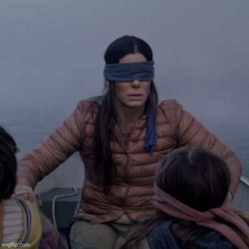 BIRDBOX | image tagged in birdbox | made w/ Imgflip meme maker