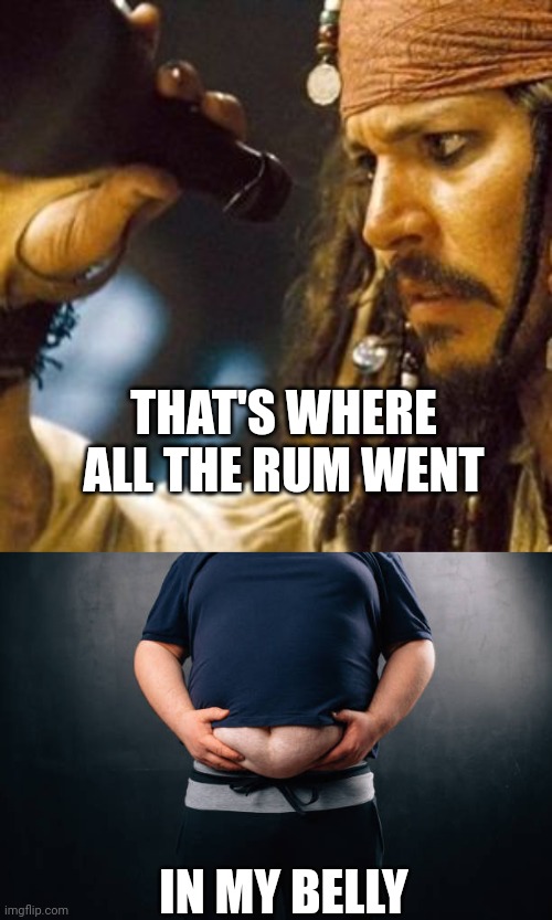 THAT'S WHERE ALL THE RUM WENT IN MY BELLY | image tagged in why is the rum always gone | made w/ Imgflip meme maker