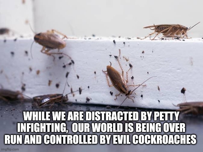 Cockroaches | WHILE WE ARE DISTRACTED BY PETTY INFIGHTING,  OUR WORLD IS BEING OVER RUN AND CONTROLLED BY EVIL COCKROACHES | image tagged in new world order | made w/ Imgflip meme maker