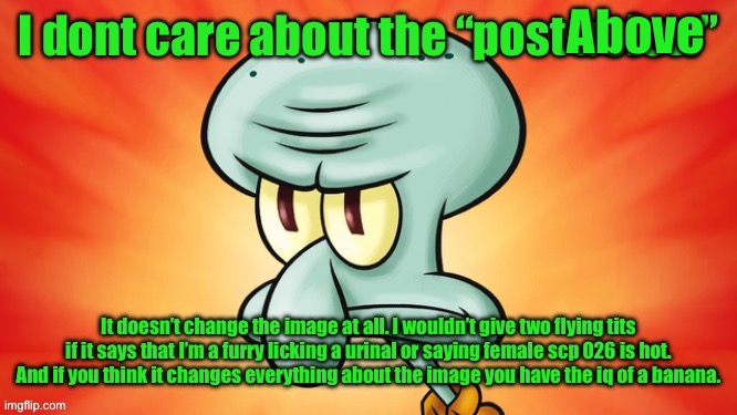 Idc about the post below | Above | image tagged in idc about the post below | made w/ Imgflip meme maker