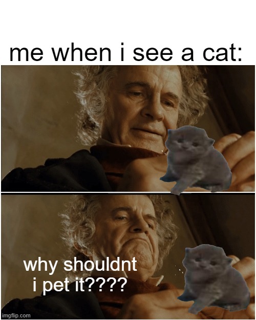Bilbo - Why shouldn’t I keep it? | me when i see a cat:; why shouldnt i pet it???? | image tagged in bilbo - why shouldn t i keep it | made w/ Imgflip meme maker