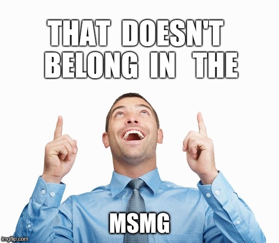 Wrong Stream | MSMG | image tagged in wrong stream | made w/ Imgflip meme maker