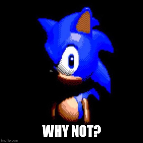 Sonic stares deep into your soul | WHY NOT? | image tagged in sonic stares deep into your soul | made w/ Imgflip meme maker
