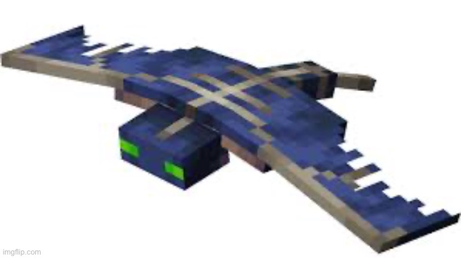 he’s in minecraft | image tagged in minecraft phantom | made w/ Imgflip meme maker