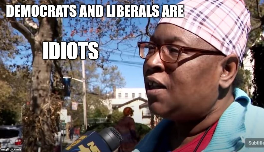 Idiots | DEMOCRATS AND LIBERALS ARE | image tagged in idiots | made w/ Imgflip meme maker