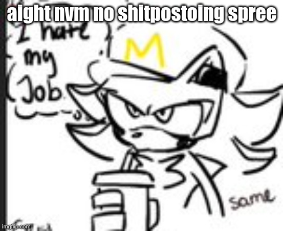 shadow i hate my job | aight nvm no shitpostoing spree | image tagged in shadow i hate my job | made w/ Imgflip meme maker