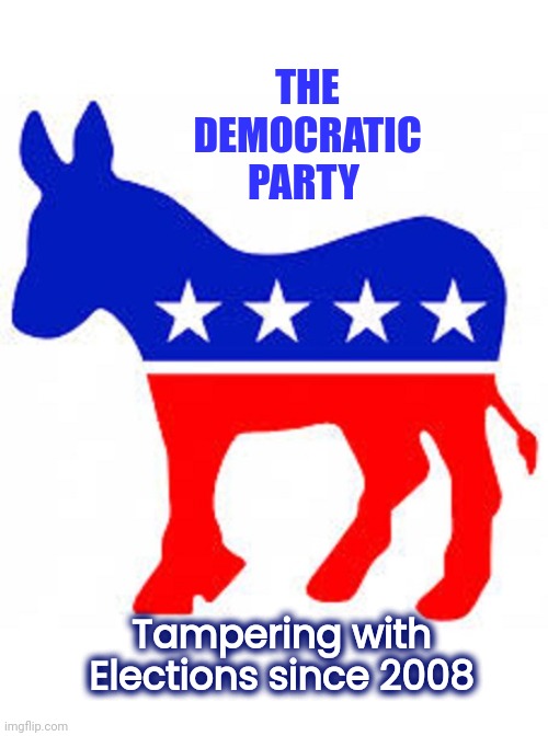 Democrat donkey | THE DEMOCRATIC PARTY Tampering with Elections since 2008 | image tagged in democrat donkey | made w/ Imgflip meme maker