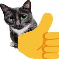 thumbs up cat Blank Meme Template