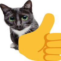 High Quality thumbs up cat Blank Meme Template