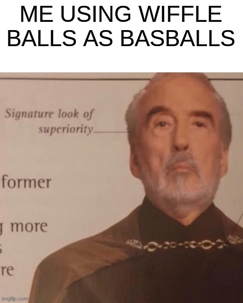 Signature Look of superiority | ME USING WIFFLE BALLS AS BASBALLS | image tagged in signature look of superiority | made w/ Imgflip meme maker
