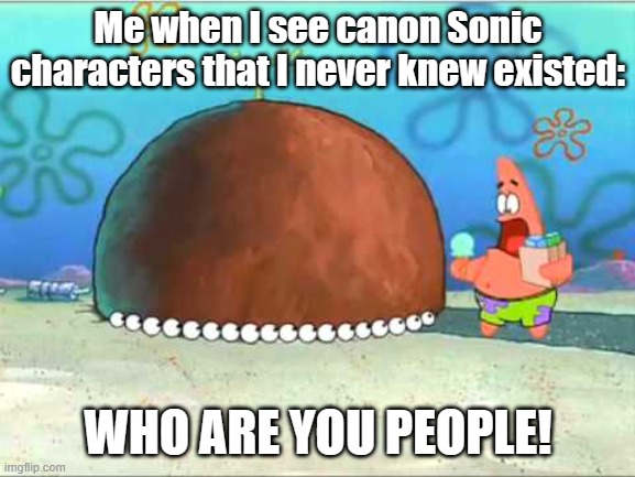 A Sonic Meme | Me when I see canon Sonic characters that I never knew existed:; WHO ARE YOU PEOPLE! | image tagged in patrick who are you people,sonic the hedgehog,sonic meme | made w/ Imgflip meme maker