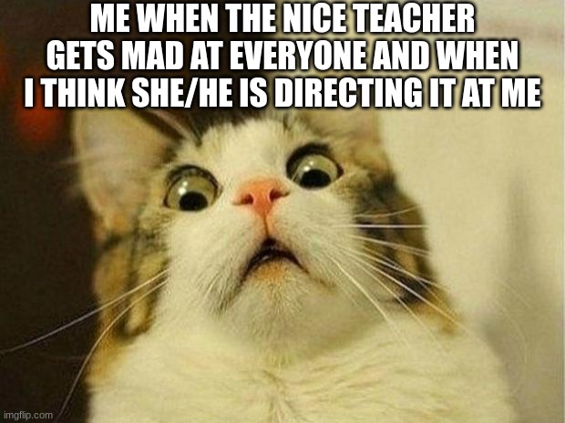 Scared Cat | ME WHEN THE NICE TEACHER GETS MAD AT EVERYONE AND WHEN I THINK SHE/HE IS DIRECTING IT AT ME | image tagged in memes,scared cat | made w/ Imgflip meme maker
