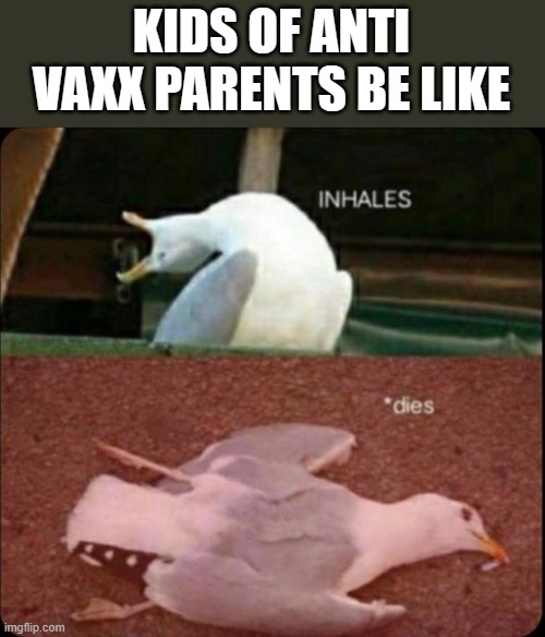 inhales dies bird | KIDS OF ANTI VAXX PARENTS BE LIKE | image tagged in inhales dies bird | made w/ Imgflip meme maker