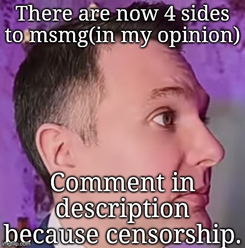 LawByMike Blank Stare | There are now 4 sides to msmg(in my opinion); Comment in description because censorship. | image tagged in lawbymike blank stare | made w/ Imgflip meme maker