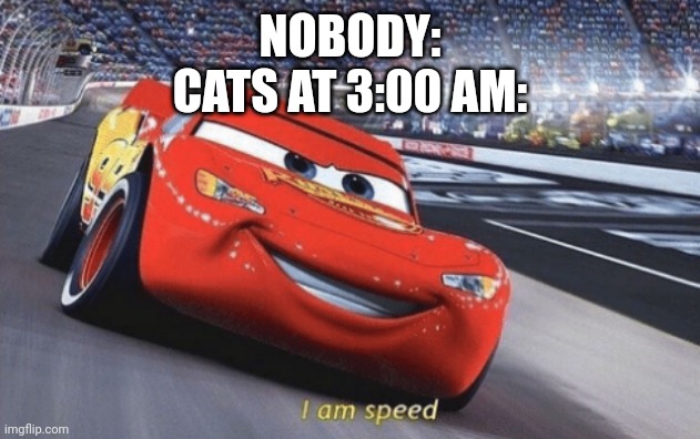 Midnight zoomies... | NOBODY:
CATS AT 3:00 AM: | image tagged in i am speed,cats,3 am | made w/ Imgflip meme maker