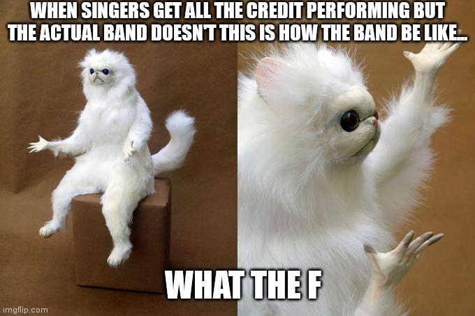 Make sure you give everybody credit people | WHEN SINGERS GET ALL THE CREDIT PERFORMING BUT THE ACTUAL BAND DOESN'T THIS IS HOW THE BAND BE LIKE... WHAT THE F | image tagged in memes,persian cat room guardian,funny memes,bands don't credit but singers do | made w/ Imgflip meme maker
