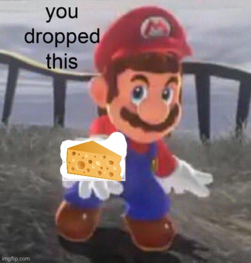 Mario You dropped this | image tagged in mario you dropped this | made w/ Imgflip meme maker