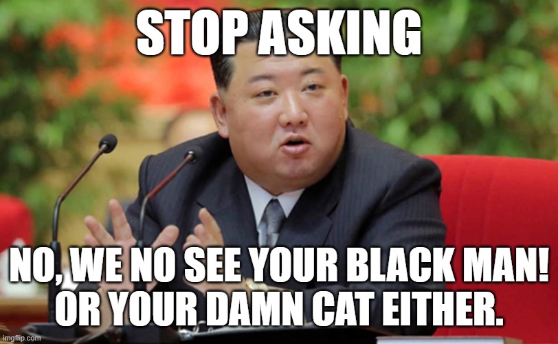 Frying Pan Fryer | STOP ASKING; NO, WE NO SEE YOUR BLACK MAN!
OR YOUR DAMN CAT EITHER. | image tagged in north korea,black guy confused,military,criminal,deportation,army | made w/ Imgflip meme maker